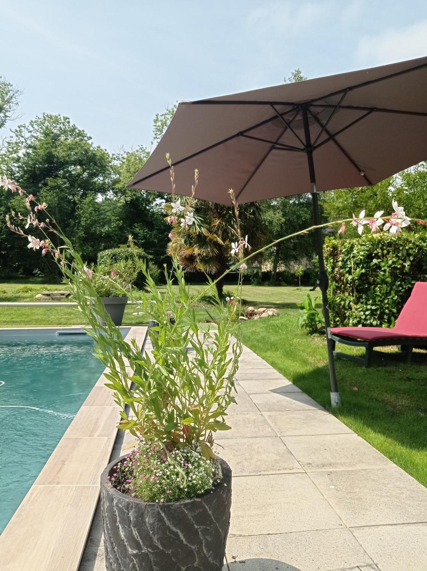 Le Clos De Cinacle Ogeu-les-Bains Экстерьер фото